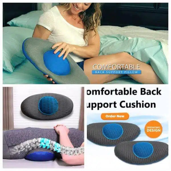 Back and Lumbar Support Pillow
